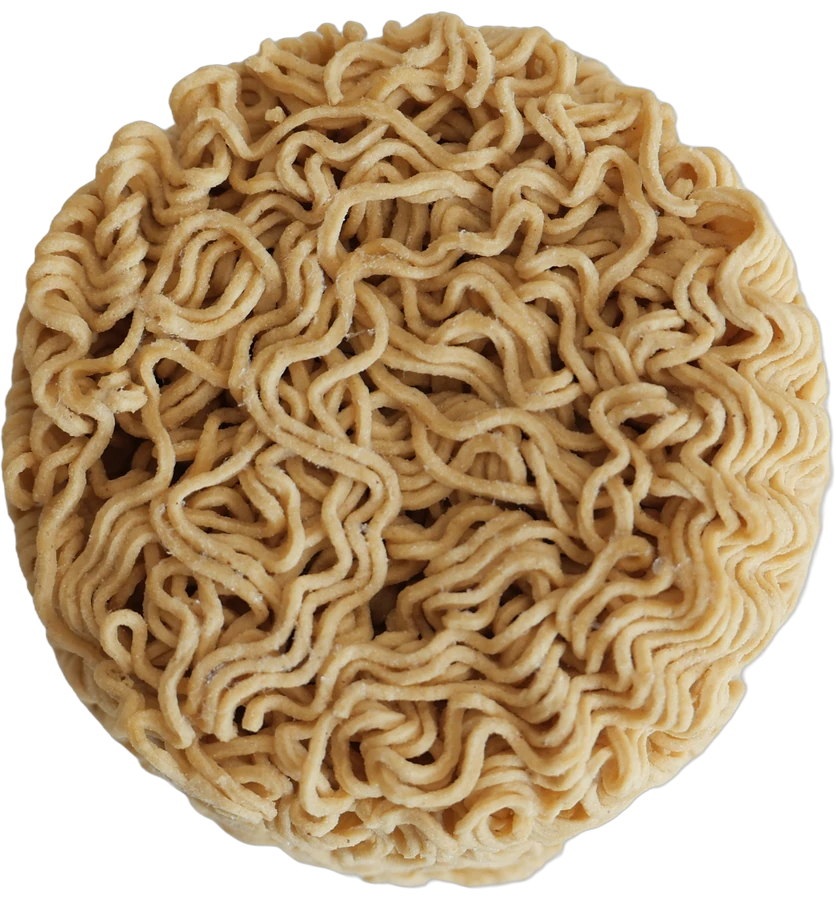 A dry NOMI noodle disc, seen from above